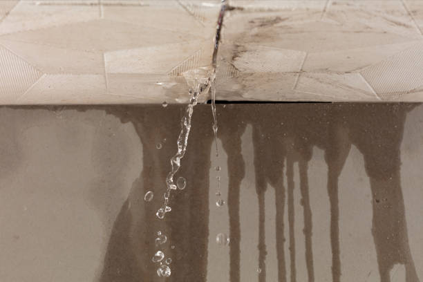 Professional Burst Pipe Cleanup technician working in Phillipsburg, GA